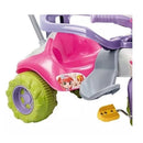 Triciclo Infantil Tico Tico Zoom Meg Rosa Com Cestinha 2711L