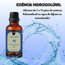 Essência Hidrossolúvel A Base De Água 30ml Nattuaromas