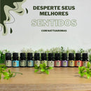 Kit Top 12 Essências Aromatizantes P/ Difusor Nattuaromas