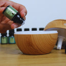 Kit Top 12 Essências Aromatizantes P/ Difusor Nattuaromas