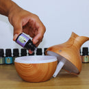 Kit Top 12 Essências Aromatizantes P/ Difusor Nattuaromas