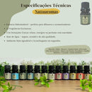 Kit Top 12 Essências Aromatizantes P/ Difusor Nattuaromas