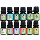 Kit Top 12 Essências Aromatizantes P/ Difusor Nattuaromas