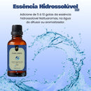 Essência Hidrossolúvel A Base De Água 30ml Nattuaromas