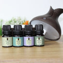 Kit Top 4 Essências Aromatizantes Para Difusor Nattuaromas