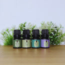 Kit Top 4 Essências Aromatizantes Para Difusor Nattuaromas
