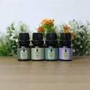 Kit Top 4 Essências Aromatizantes Para Difusor Nattuaromas