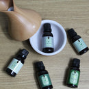 Super Kit 5 Essências A Base Água Hidrossolúvel 30ml Difusor Escolha