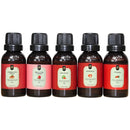 Super Kit 5 Essências A Base Água Hidrossolúvel 30ml Difusor Escolha