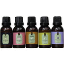 Super Kit 5 Essências A Base Água Hidrossolúvel 30ml Difusor Escolha