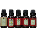 Super Kit 5 Essências A Base Água Hidrossolúvel 30ml Difusor Escolha