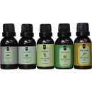Super Kit 5 Essências A Base Água Hidrossolúvel 30ml Difusor Escolha