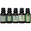 Super Kit 5 Essências A Base Água Hidrossolúvel 30ml Difusor Escolha