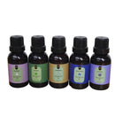 Super Kit 5 Essências A Base Água Hidrossolúvel 30ml Difusor Escolha