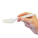 Kit Garfo Bagaço de Milho 17cm Biodegradável - 500un