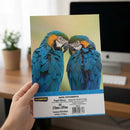 Papel Fotográfico Masterprint A4 GLOSSY 180G KIT 20 Folhas