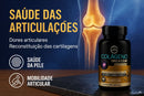 Colágeno Tipo 2 CGM + Glucosamina + Condroitina + MSM 60 Caps; Premium