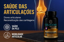 Colágeno Tipo 2 CGM + Glucosamina + Condroitina + MSM 60 Caps; Premium (1)