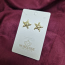 BRINCO ESTRELA BANHADO OURO 18K