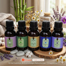 Super Kit 5 Essências A Base Água Hidrossolúvel 30ml Difusor Escolha