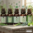 Super Kit 5 Essências A Base Água Hidrossolúvel 30ml Difusor Escolha