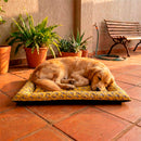 Colchonete Pet Quality Impermeável Médio