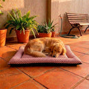 Colchonete Pet Quality Impermeável Médio