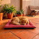 Colchonete Pet Quality Impermeável Grande