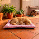 Colchonete Pet Quality Impermeável Pequeno